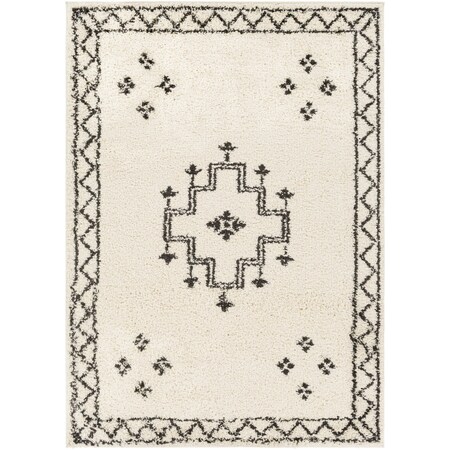 Livabliss Beni Shag BSH-2320 Machine Crafted Area Rug BSH2320-71010